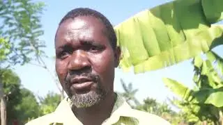 IMAGINE AFRICA DOCUMENTARY ON USE OF GLICIDIA TREE AS SUBSTITUTE OF FERTILIZER ONLINE