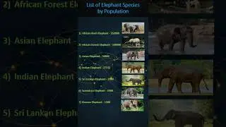 List of Elephant Species by Population 2025 #informative_records#world #elephant