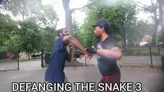 DEFANGING THE SNAKE 3...52BLOCKS