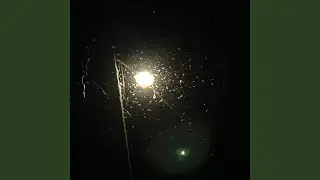 i wont bite