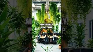 The Benefits of Indoor Plants in the Workplace
