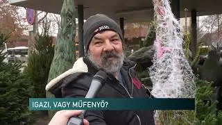 2025.12.23. - Milyen fenyőt választanak