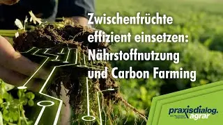 praxisdialog.agrar 2025: #01 | Zwischenfrüchte effizient einsetzen