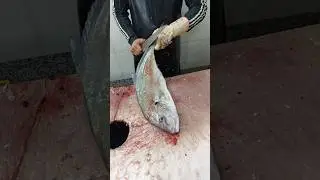 Fish Butchering on Demand &ndash; Watch the Process!
