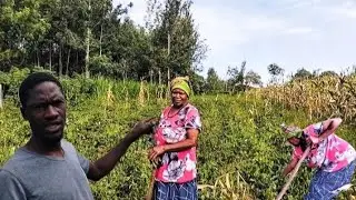 HOLD ON my Mum didn't saw it coming,, Exposure from our situation.