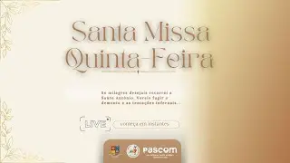 🕊️ Missa de Quinta-feira | Co-Catedral Santo Antônio🕊️