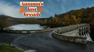 Stunning Autumnal Views at Burrator Reservoir