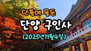 단풍에 물든 단양 구인사/2025년11월4일 현재)