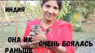 Маленькие пушистики покоряют сердца!😻