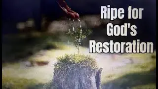 RIPE FOR GOD'S RESTORATION &ndash; OUR DAILY BREAD DEVOTION WITH COMMENTARY BY RIONDA