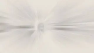 Djebali - Flamingo
