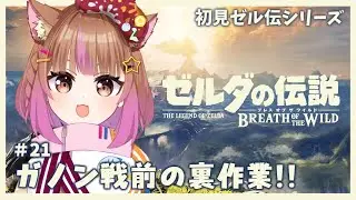 ゆるっと裏作業回！【ブレスオブザワイルド】