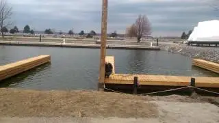 Marina Construction Pile Driving