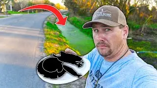 EATING only what I find on the SIDE OF THE ROAD