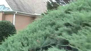 HandyANDY repairs rotted trim and handy painting house in Roswell