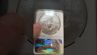 Silver American Eagles Type 1 and Type 2 #coin #coinscollection #preciousmetal #goldandcoin #collect