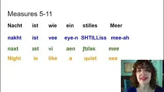 DICTION VIDEO example - SingerTracks