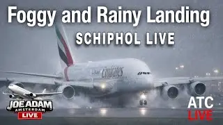 🔴 LIVE: Foggy and Rainy Arrivals at Amsterdam Schiphol | Jan 31, 2026