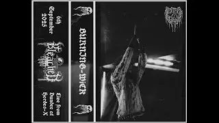 The Bleached - Burning Wick (Live Music Video)