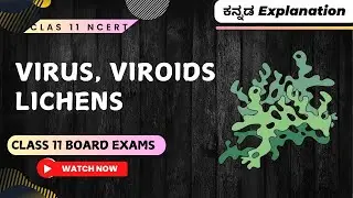 Biological Classification 04 🔥 virus, viroids, Prions & lichens