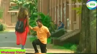 🌹Rose Day Whatsapp Status Video 2019🌹Happy Rose Day Video 2019 🌹