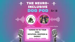 Tuning In to Your Dog: Intuition, Emotion & Energy with Shelly Webb from Animal Soul Sync