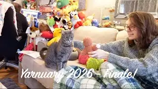Январь 2026 &mdash; Финал!