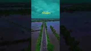 #allepy