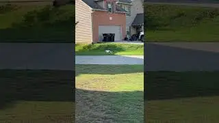 The Luba is becoming sentient! Robotic Lawn Mowers are Awesome! #lawncare