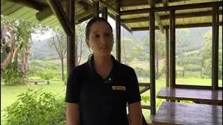 DHL & SOS Village Testimonial By Astrid