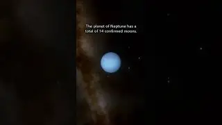 How Many Moons Does Neptune Have?
