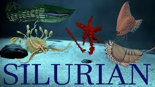 The five Strangest Animals of the Silurian period