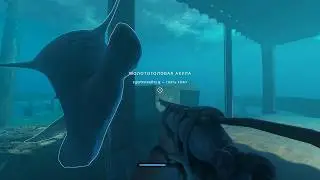Подводный лут маленького острова - Stranded Deep№16