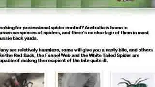 Spider Control