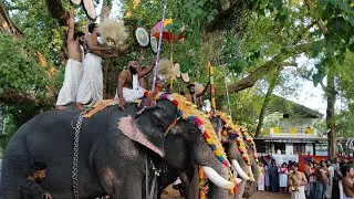 എലവത്തൂർ അയ്യപ്പൻ കാവ് പൂരം             പെരുവനം കുട്ടൻ മാരാർ നയിക്കുന്ന ആൽത്തറ മേളം