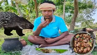 🔥Village Style Porcupine Cooking | Traditional Tribal Recipe | Wild Food Adventure🔥💯