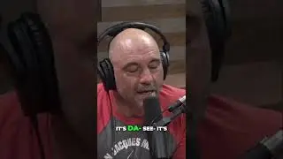 Street Fight DANGER ZONE: Striking vs. Grappling (Jiu-Jitsu Secrets!)