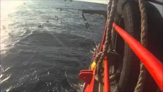 Seabird bafflers in the South East Trawl