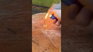An Oddly Satisfying Wood Split #shorts