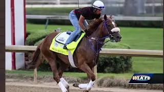 Swiss Skydiver favorite to win at Kentucky Oaks