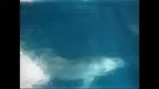 SWG Experience Day 4