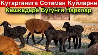 Кутаргангига Сотаман! ☎️+998 94 332 06 98 ☎️+998 97 221 0096