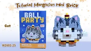 HOW I BUILD MINI LEGO BRICKS NANO BLOCKS MAKE A WISE LIFE PARTY BALL SERIES W2603-25 CAT