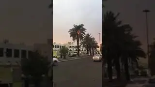 Dates tree fire on Kuwait city