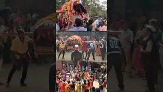 आई नवलादेवी पालखी | कोकण शिमगा | kokan shimga|#shorts #youtube #shimga #viral #trending #comingsoon