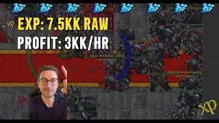 RUBINOT HUNT GUIDE - Bulltaur's Lair MAGES 800+ 7.5kk/h Raw + 3kk Profit