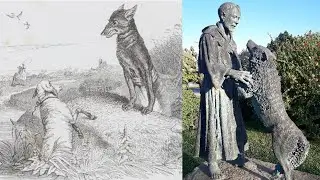 Apprivoiser mon loup intérieur