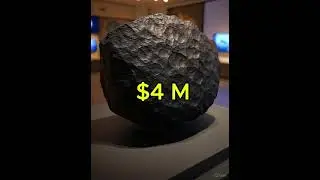 This Meteorite from Mars Could Sell for $4 MILLION! (Largest Ever Found)
