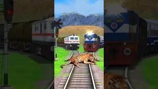 TWO TRAINS vs TIGER 🐅 AT RISKY RAILWAY TRACK #train #shorts