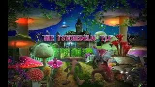 THE PSYCHEDELIC ELF (STOP MOTION)